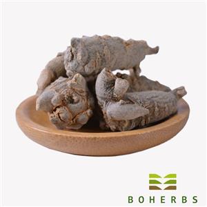 الجنسنغ المجفف (باناكس نوتوجينسينج)