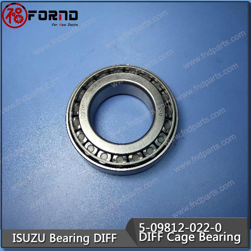 ISUZU DIFF Cage Bearing 5-09812-022-0