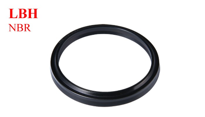 LBH Hydraulic Dust Seal Manufacturers, LBH Hydraulic Dust Seal Factory, Supply LBH Hydraulic Dust Seal