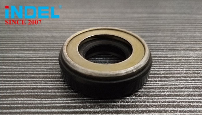 China Hydraulic Seal