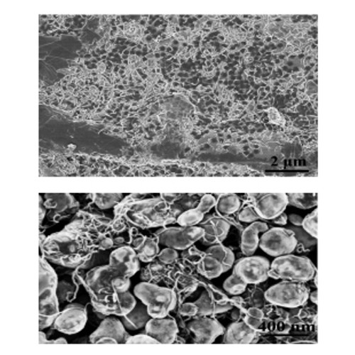 High quality Carbon Nanotube Powder Quotes,China Carbon Nanotube Powder Factory,Carbon Nanotube Powder Purchasing