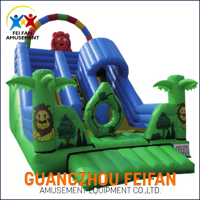 Big Inflatable Jumping Castle