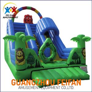 Big Inflatable Jumping Castle