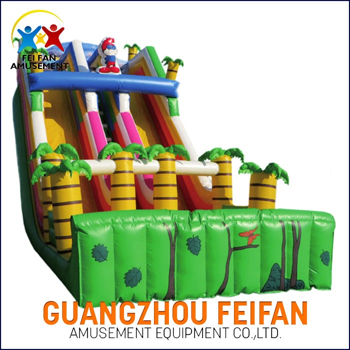 Inflatable Water Slide