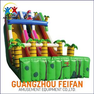 Inflatable Water Slide