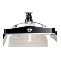 Máquina de terapia láser para el crecimiento del cabello KN-8000A
