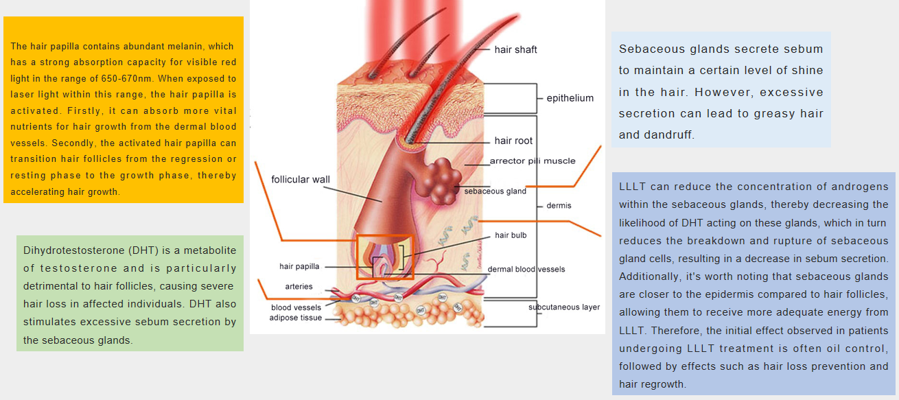 Hair Loss and treatment