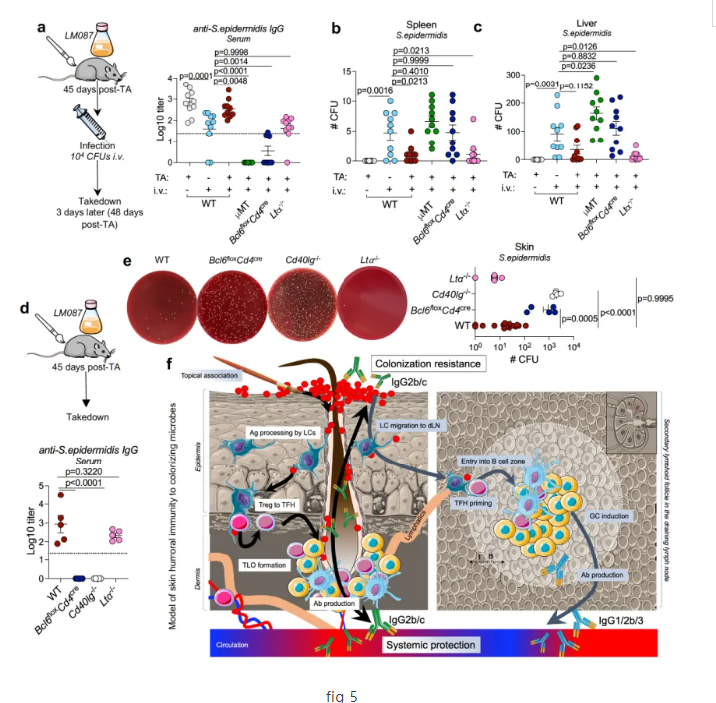 Immune defense