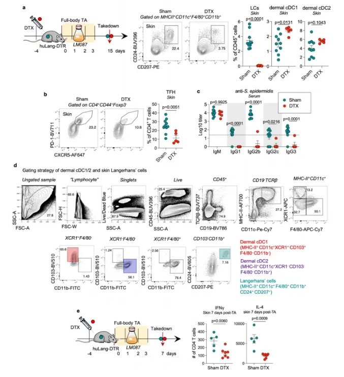 Skin microbiome balance