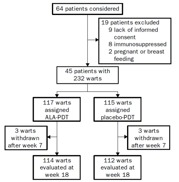 photodynamic therapy