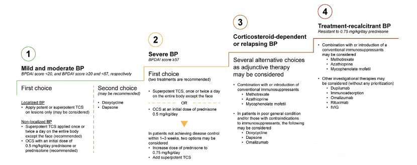 dermatology research