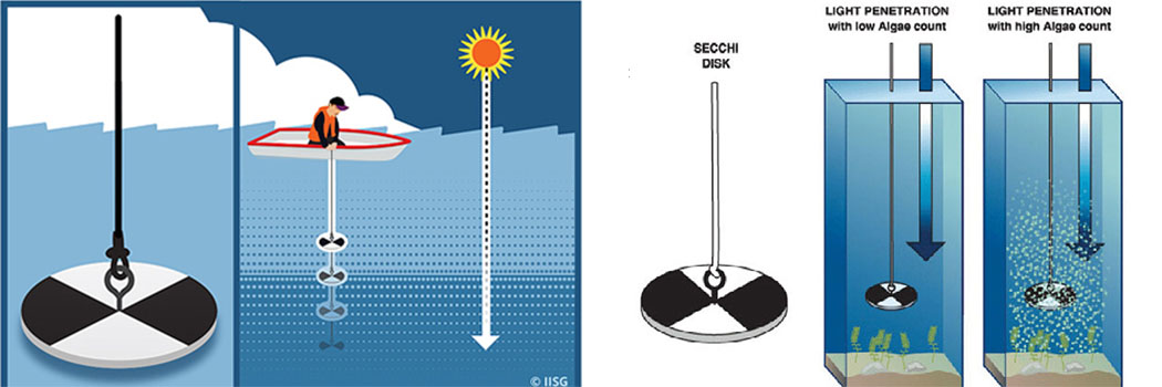 Fresh Water Secchi Disk