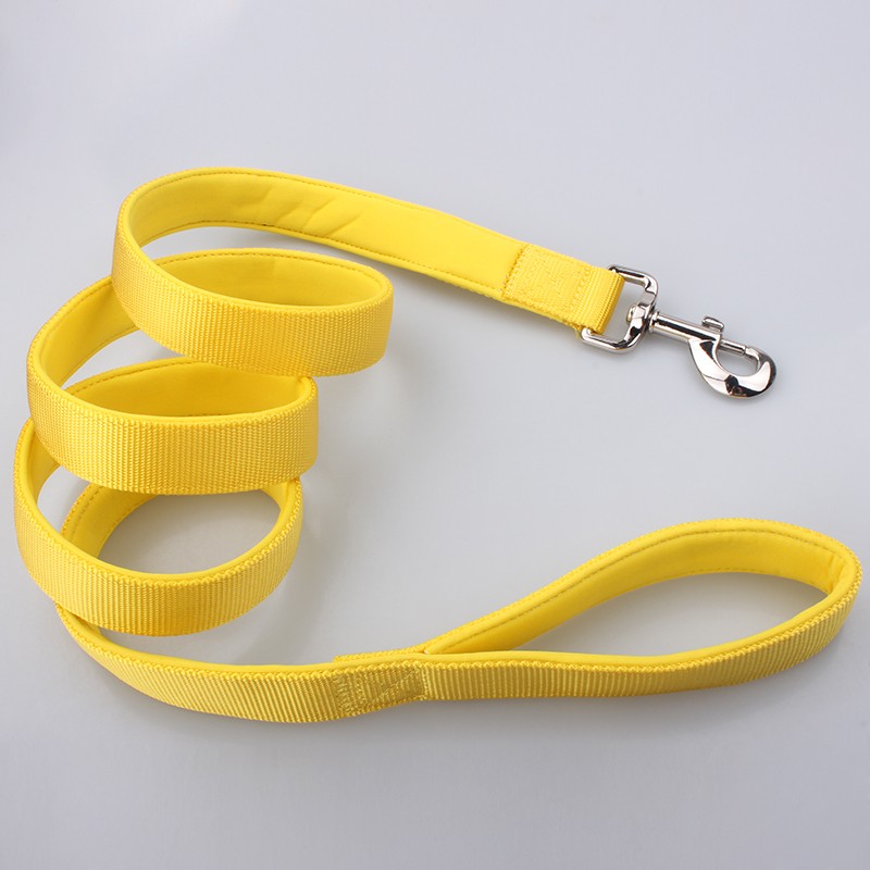 Double Layers Dog Collars Leashes