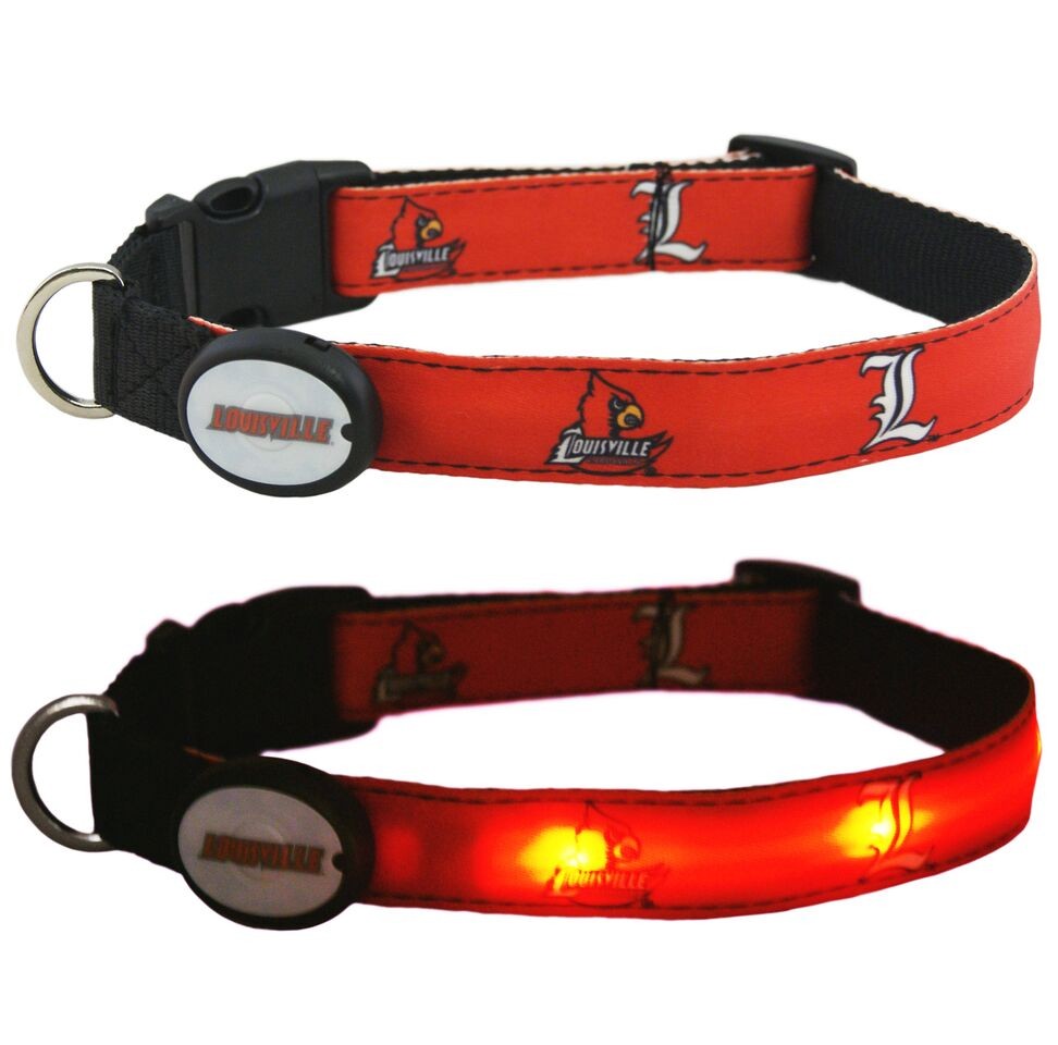 LEDdog Leashes Collar
