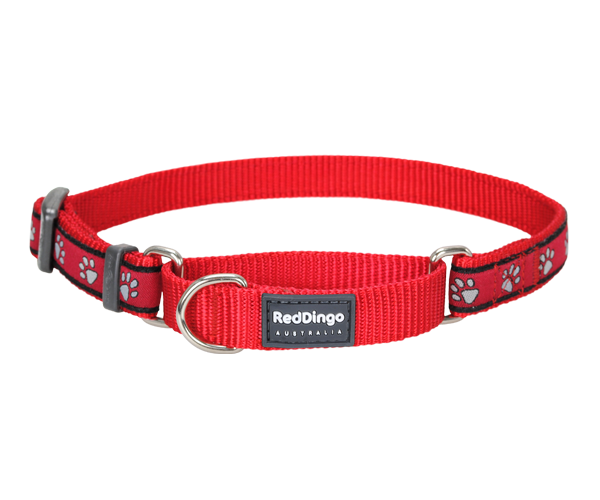 Supply PP Dog Leashes Factory Quotes - OEM