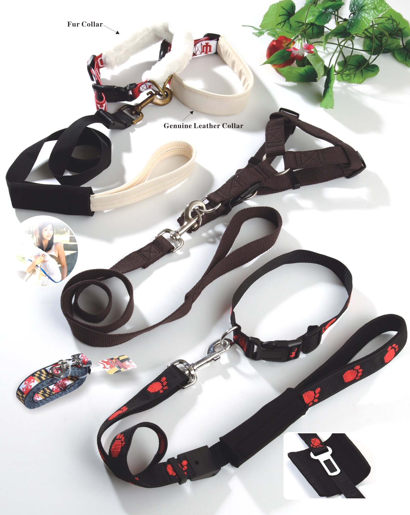 Pet leashes srries