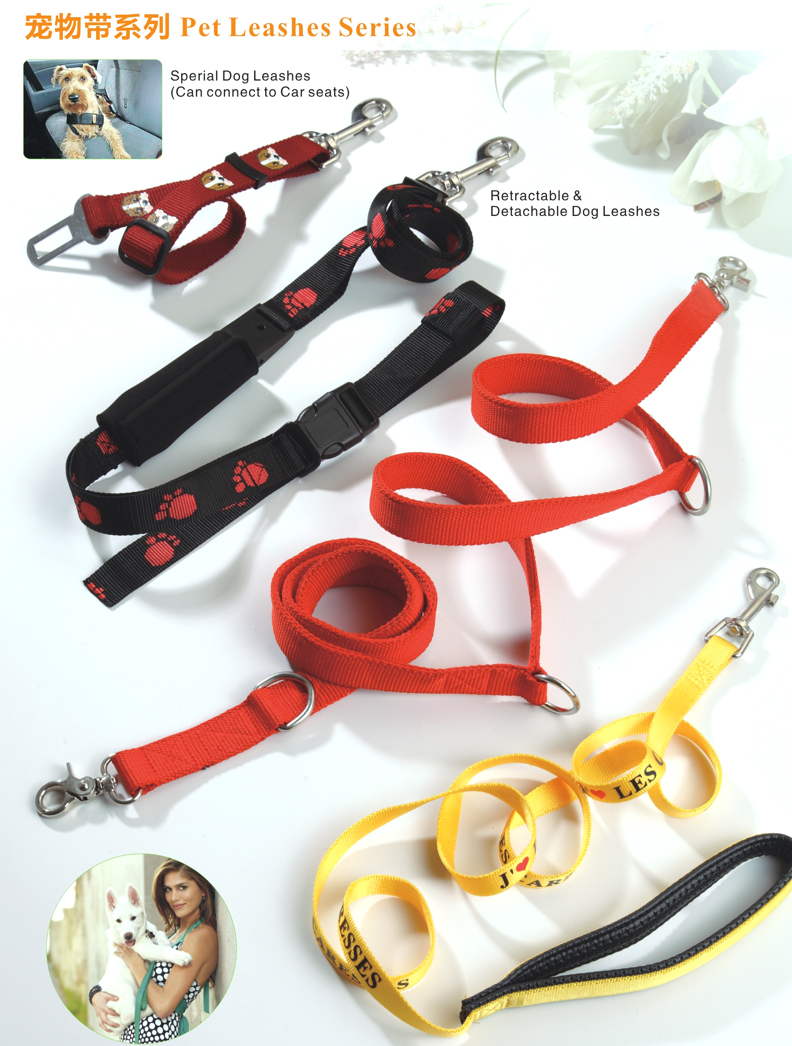 Dog Leashes