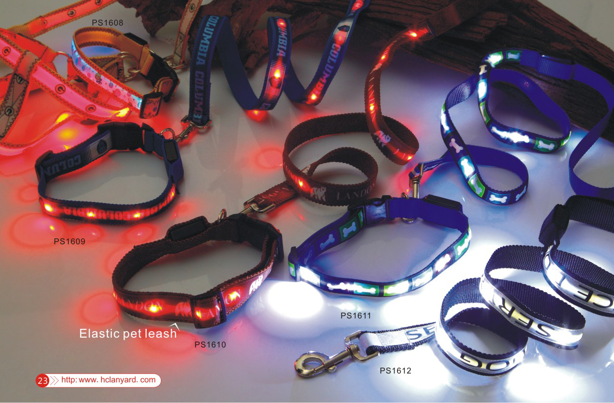 LED Leashes