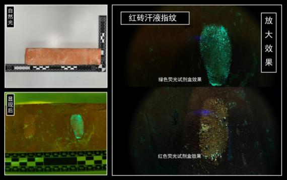 Laser Evidence Visualization Searcher