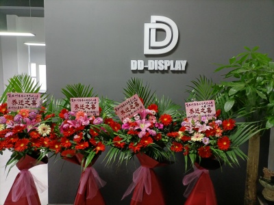 DD DISPLAY