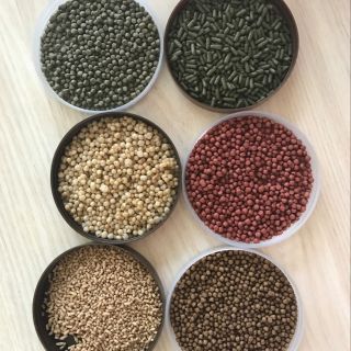 Extrusora de alimentos para animais de estimação