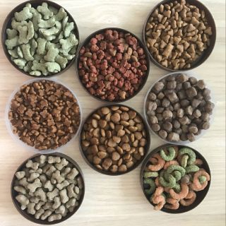 Pet Food Extruder Machine