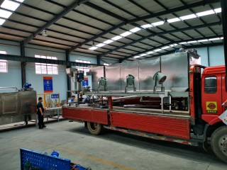 Delivery 150 kg/h Pet Food Production Line to domestic customer