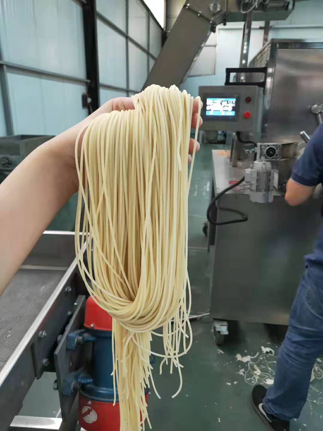 Pasta macaroni extruder