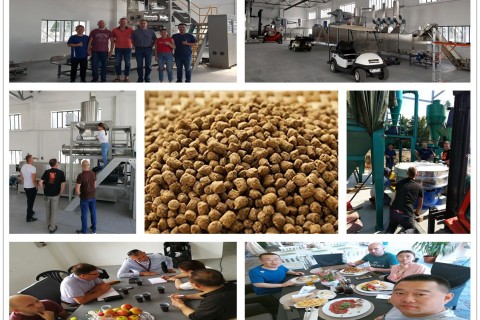 1000 kg/hr Fish Feed Production Line in Poland
