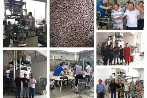 Debugging 1000 kg/hr fish feed production line in Uzbekistan