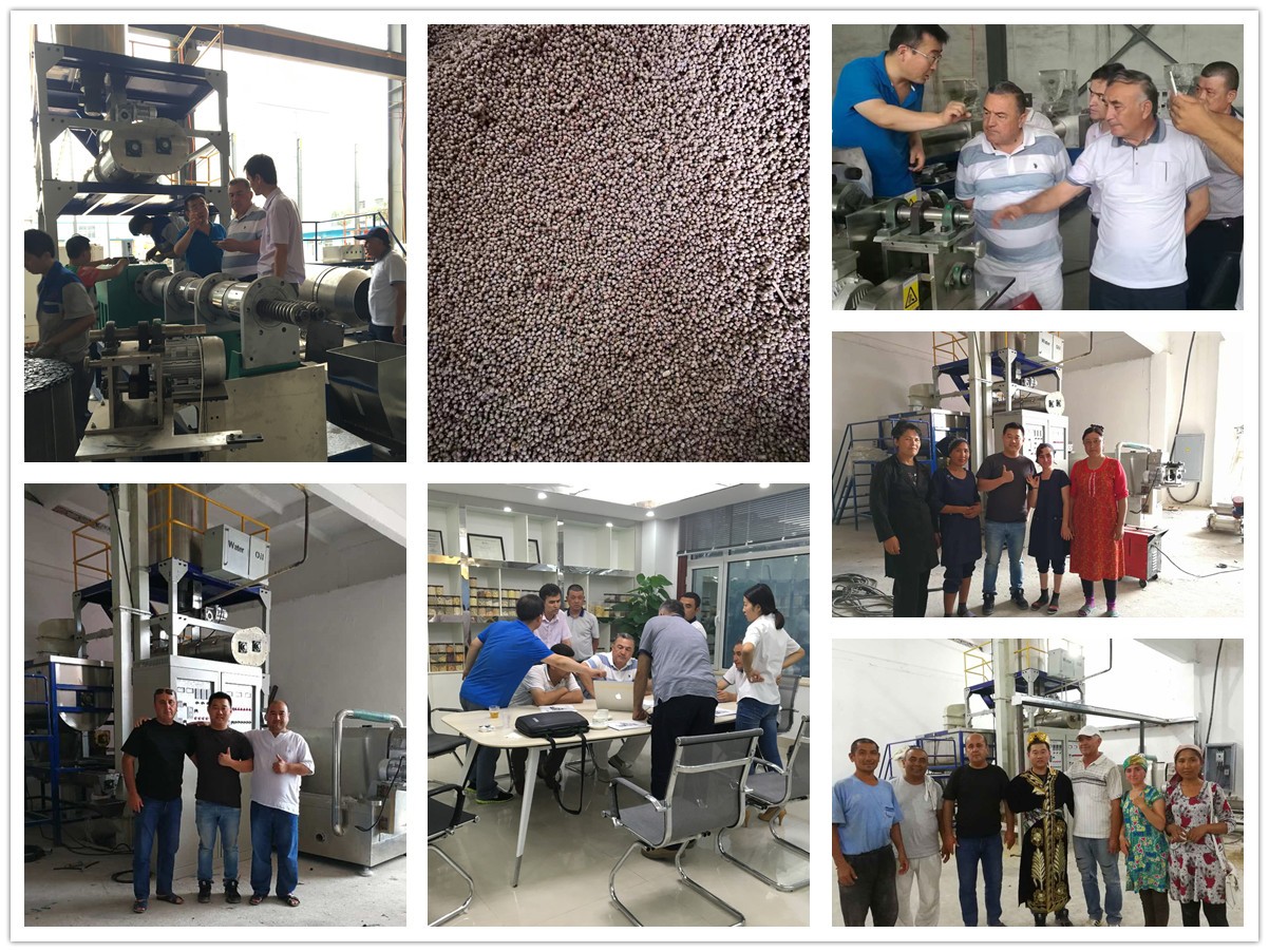 Floating fish feed pellet extruder machine
