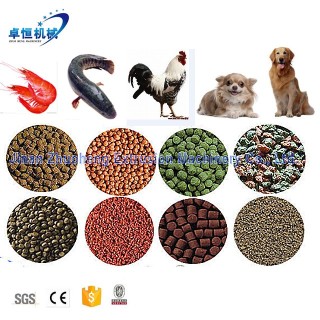 Equipo de producción de la máquina de fabricación de alimentos para animales de la extrusora de pellets de alimento para peces