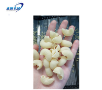 China CE manufactory macaroniequipment