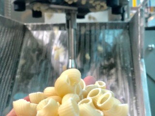 Testing 200kg/h macaroni pasta machine