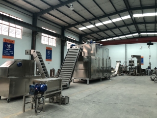 Emballage de la ligne de machines de fabrication de pâtes 100 kg/h pour le Turkménistan