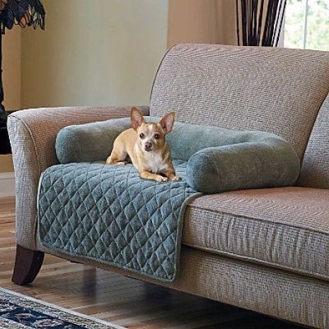 Couch Covers For Dogs