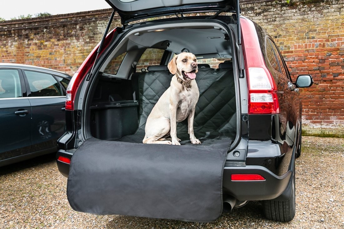 Dog Cargo Cover