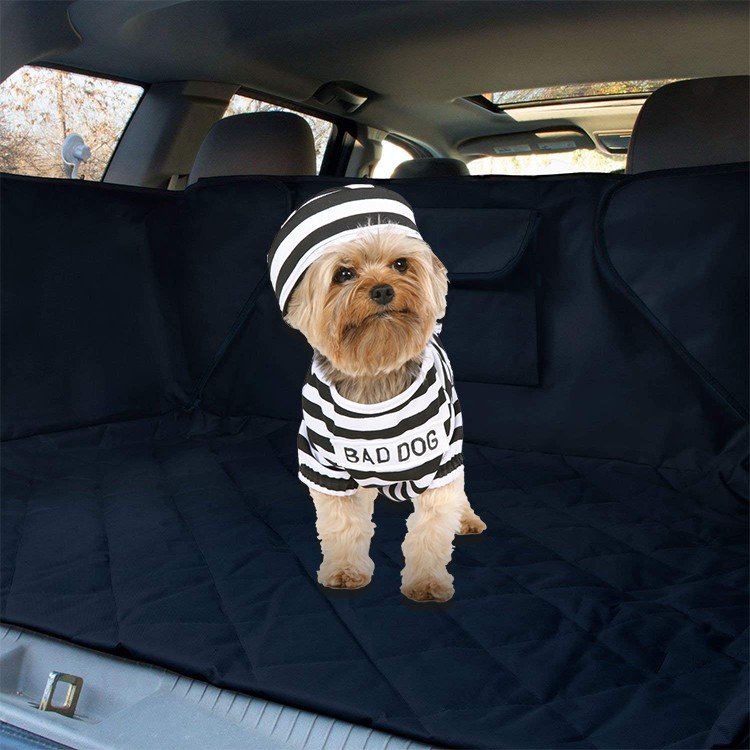 Dog Cargo Cover