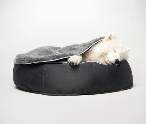 Small Dog Bean Bag