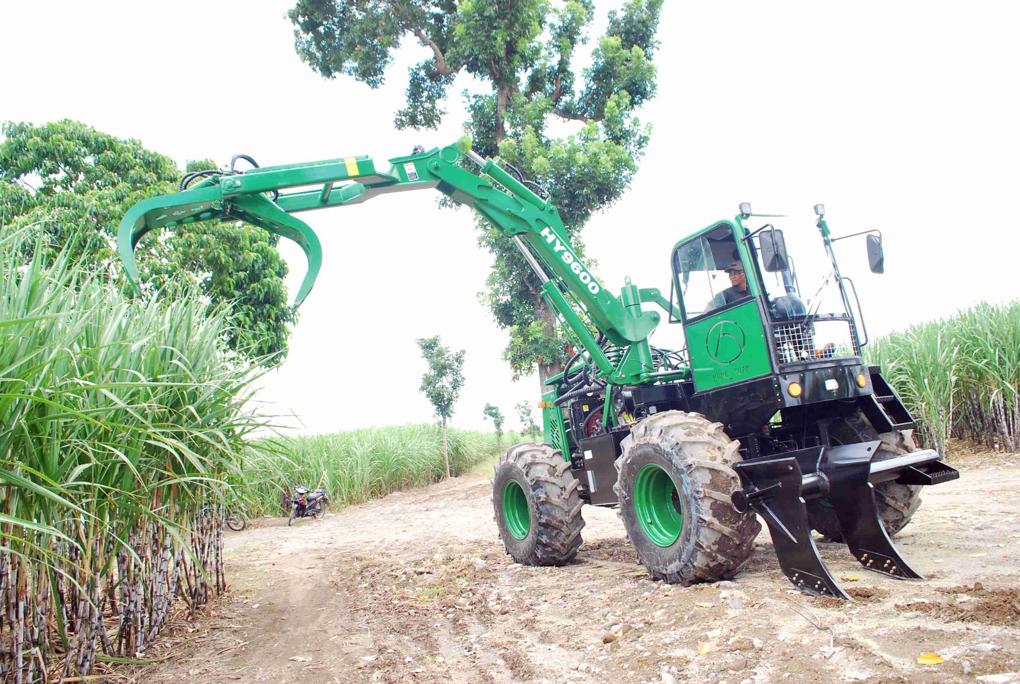Cargador de caña de azúcar 4 WD