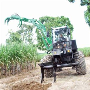 Cane Loader