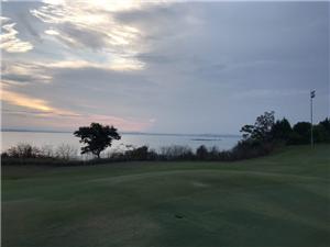 Company Golf Day