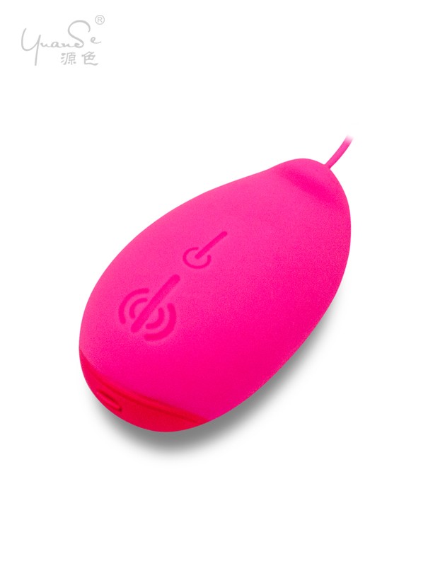 Egg Vibrator
