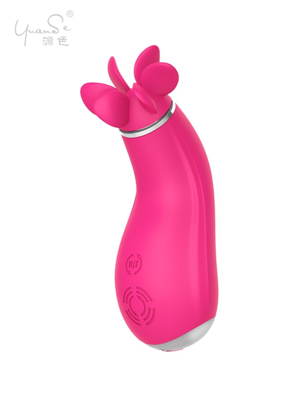 Best Rated Vibrater