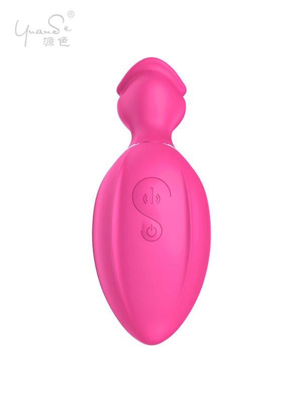 Clitoral Suction Vibrator