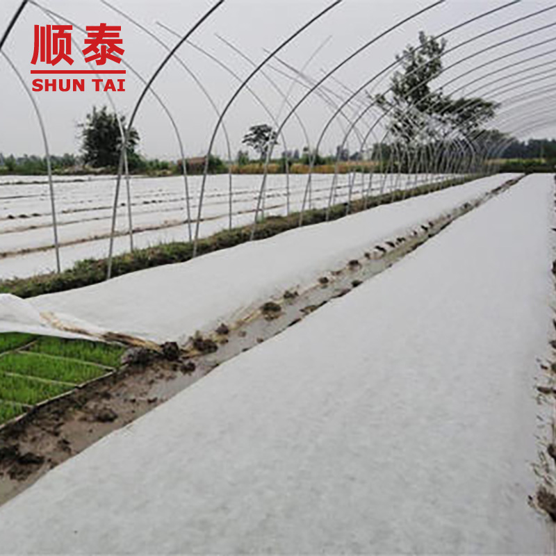China Factory Plants Cover Material Eco-friendly PP Non Woven Fabric