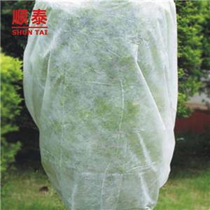 High Quality 100% Pp Non Woven Fabric/garden Plant Cover Fabric