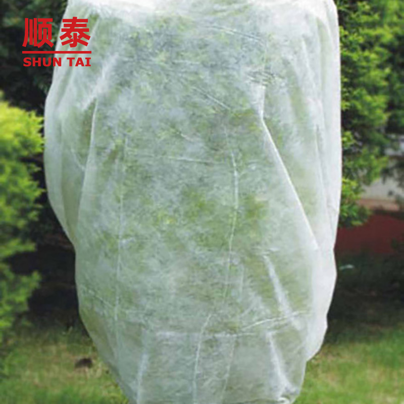 17gsm-90gsm Agriculture Fabric Or Agriculture Nonwoven Fabric Or Material For Agriculture