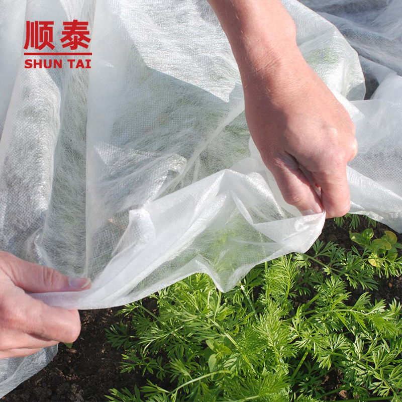 Agricultural Black Pp Spunbond Non Woven Cloth Weed Barrier Fabric For Vegetables