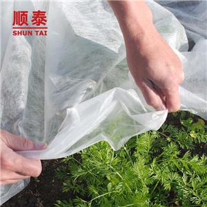Agricultural Black Pp Spunbond Non Woven Cloth Weed Barrier Fabric For Vegetables